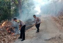 Sigap Tangani Kebakaran Lahan, Polsek Ciawigebang Bantu Pemadaman Api di Desa Suganangan