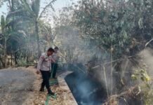 Cegah Api Meluas, Polsek Ciawigebang Bergerak Padamkan Kebakaran Lahan di Desa Suganangan