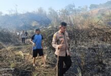 Kapolsek Cidahu Bersama Anggota dan Warga Berjibaku Padamkan Api di Lahan Kebakaran Desa Datar