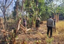 Gerak Cepat Tangani Karhutla, Polsek Ciawigebang Bersinergi dengan Damkar dan Warga Desa Sidaraja