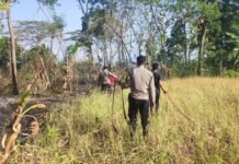 Cegah Api Meluas, Polsek Ciawigebang Bantu Pemadaman Kebakaran Lahan di Desa Sidaraja