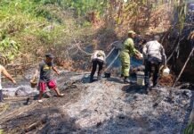Polsek Ciawigebang Bersama TNI dan Warga Padamkan Kebakaran Lahan di Desa Kadurama