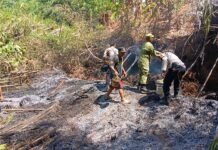 Polisi, TNI, dan Warga Bahu-Membahu Tangani Kebakaran Lahan di Desa Kadurama