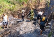 Polsek Ciawigebang Bersama Koramil dan Warga Berjibaku Padamkan Api di Desa Kadurama