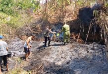 Polsek Ciawigebang dan Koramil Bersama Warga Bahu-Membahu Atasi Kebakaran Lahan di Desa Kadurama