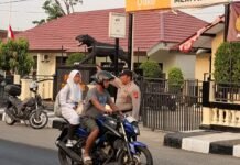 Ciptakan Kelancaran Arus Lalu Lintas, PS. Panit 2 Samapta Polsek Ciawigebang Lakukan Gatur Pagi Hari di Jalan Raya Siliwangi Ciawigebang
