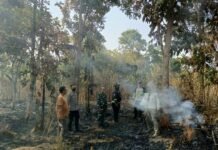 Tanggap Laporan Warga, Empat Personel Polsek Mandirancan Terjun ke TKP Kebakaran Lahan Ilalang Desa Nanggela