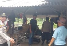 Lewat Program ‘POLIRAN’, Kapolsek Kramatmulya Tinjau Pabrik Bawang di Desa Cilowa Guna Serap Tenaga Kerja Lokal