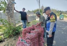 Pantau Ketahanan Pangan, Bhabinkamtibmas Desa Gandasoli Sambangi Petani Cabai Lewat Patroli Dialogis