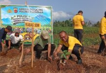 Green Policing Polres Kuningan, Desa Padarek Jadi Lokasi Penanaman Pohon dan Aksi Jumat Bersih