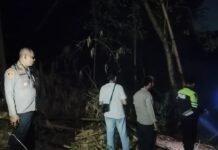 Wujud Kepedulian Lingkungan, Polsek Cilimus Bersama Warga Evakuasi Karhutla