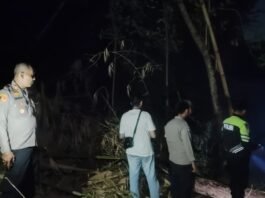 Wujud Kepedulian Lingkungan, Polsek Cilimus Bersama Warga Evakuasi Karhutla