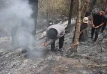 Turun Langsung ke Lokasi Kebakaran, Kapolres Kuningan Tinjau Pemadaman Karhutla di Kawasan TNGC