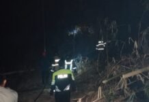 Api Melalap Kebun Bambu di Pajaten, Polisi dan Warga Bergerak Cepat